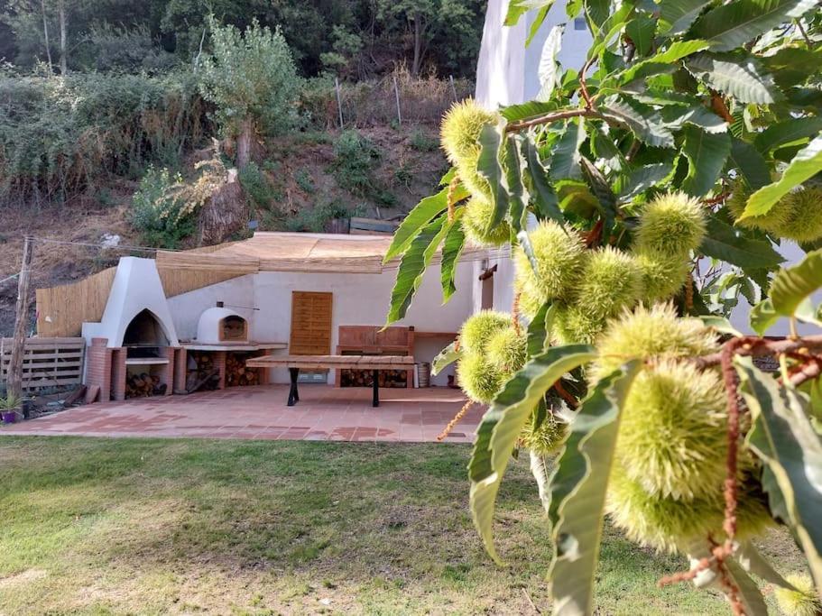 Villa Casa Barranco Júzcar Exterior foto